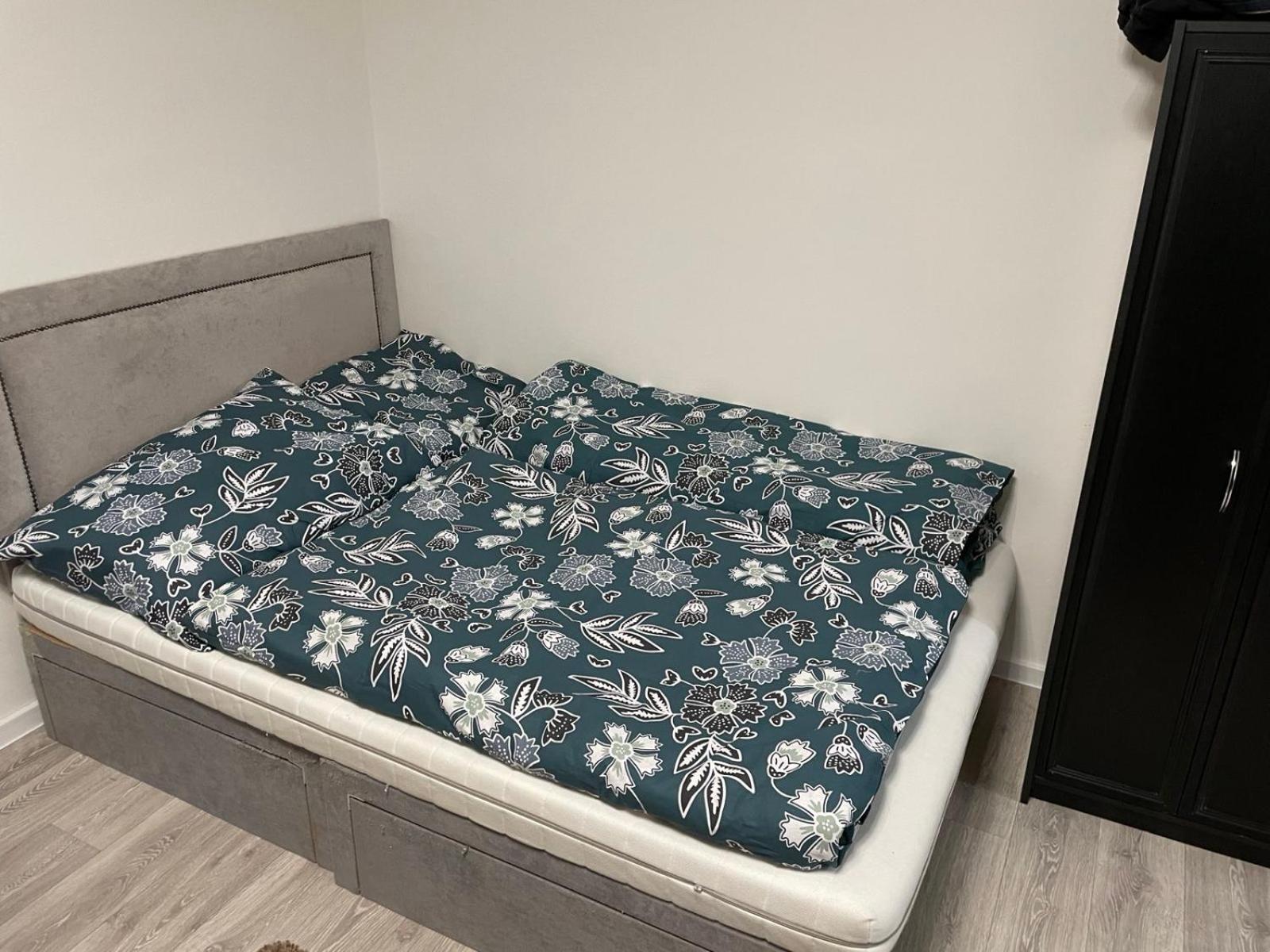 Apartman Sabo Komenskeho 科希策 外观 照片