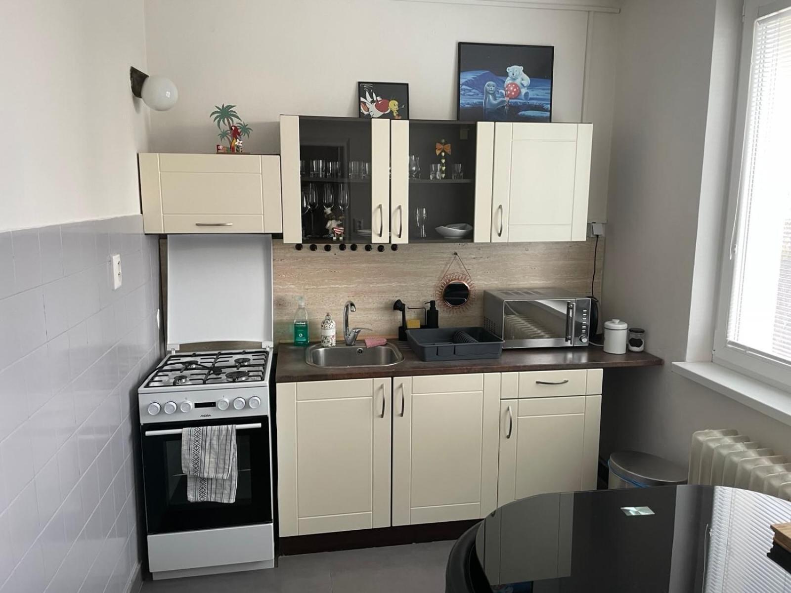 Apartman Sabo Komenskeho 科希策 外观 照片
